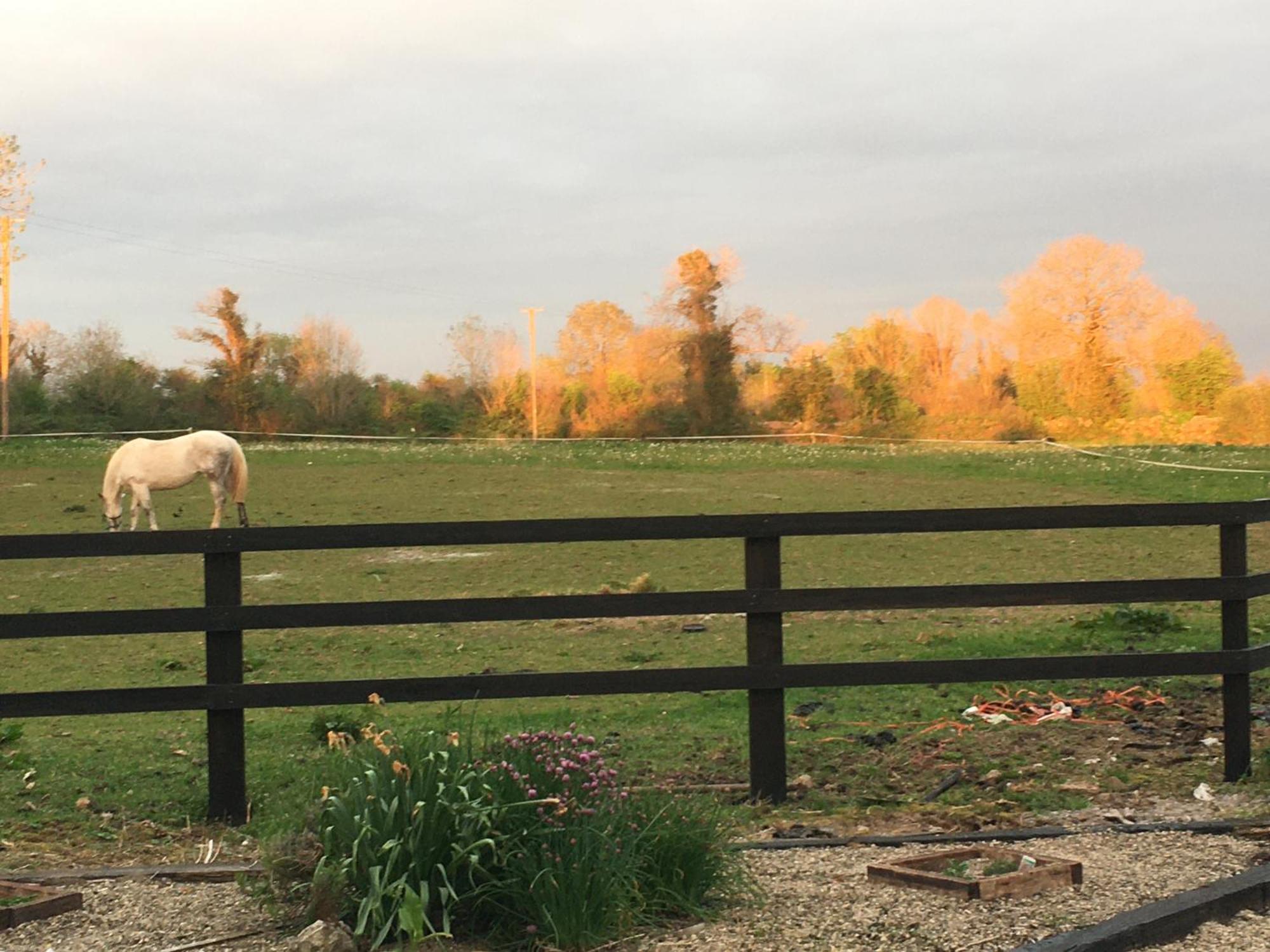Luxury Country Escape Ennis